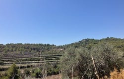 Teulada, Valencia 03724