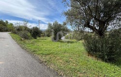 Tarragona, Catalonia 43791