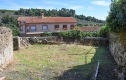 Acebo, Extremadura 10857