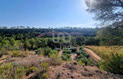 Tarragona, Catalonia 43513