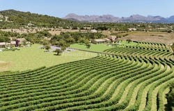 Pollença, Illes Balears|Baleares