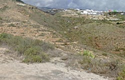 Fasnia, Canary Islands