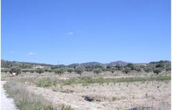 Sax, Valencian Community 03630
