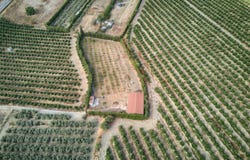 Alcala del Rio, Andalusia 41200