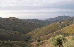 Canillas de Albaida, Andalusia 29755