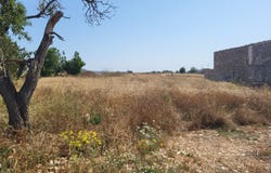 Balears (Illes), Balearic Islands 07510