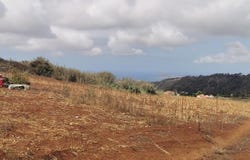 Arucas, Canary Islands 35411