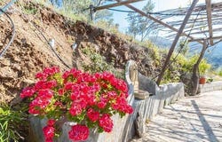 Cómpeta, Andalusia 29754