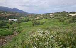 Tolox, Andalusia 29109