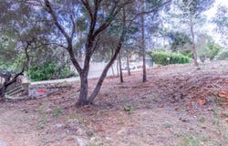 MON MITAD, Denia, Valencian Community 3700