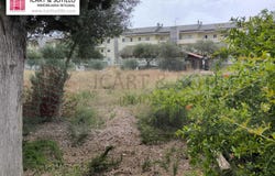 Vinaros, Valencian Community 12500
