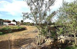 San Jose de los Llanos, The Canary Islands 38435
