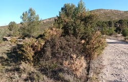 Macastre, Valencian Community