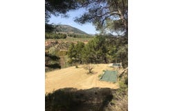 Torremanzanas/Torre de les Maçanes (la), Valencian Community