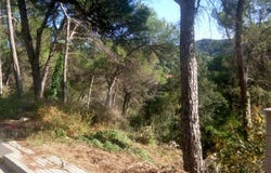 Vacarisses, Catalonia