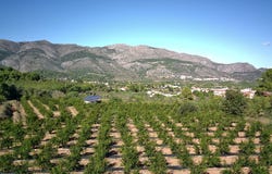 Orba, Valencia 03790