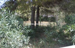 Jávea - Xàbia, Valencian Community 03730