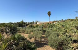Mijas, Andalusia