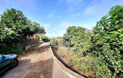 Santa Úrsula, The Canary Islands 38390
