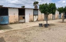 Monforte Del Cid, Alicante