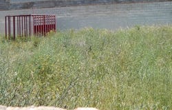 Aielo de Malferit, Valencian Community 46812