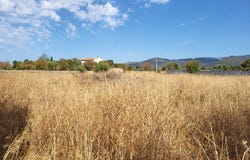 Balears (Illes), Balearic Islands 07320