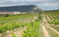 Almansa, Castile-La Mancha 02640