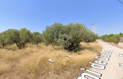 Portimão, Catalonia 43480