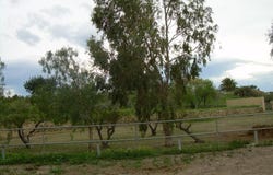 Altea, Valencian Community 03590
