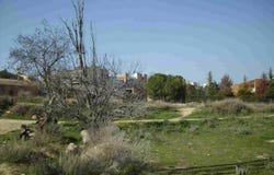 Alcoletge, Catalonia