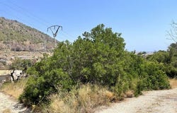 Calpe, Alicante/alacant 03710