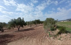 Salinas, Valencia 03130