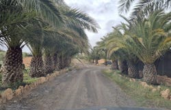 Antigua, Canary Islands 35610
