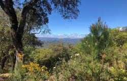 Gaucín, Andalusia 29480