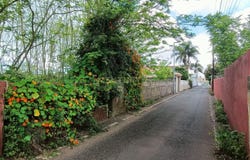 San Cristóbal de La Laguna, Canary Islands