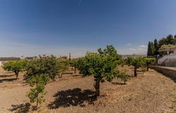 Zubia (La), Andalusia