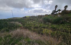 Rosario (El), Canary Islands