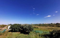 Puig, Valencian Community