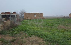 Vila-Sana, Catalonia 25245