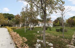 Griñón, Community of Madrid 28971
