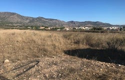 Salinas, Valencia 03130