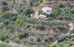 Comares, Andalusia 29195