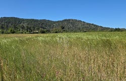 Balears (Illes), Balearic Islands 07460