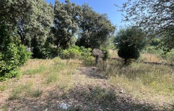 Sa Pobla, Balearic Islands 07420