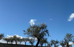 Vélez-Rubio, Andalusia