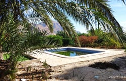 Redovan, A, Redovan, Valencian Community 03370