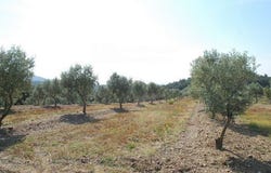 Garriguella, Girona