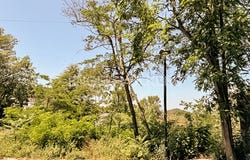 Sant Cugat del Vallès, Catalonia 08196