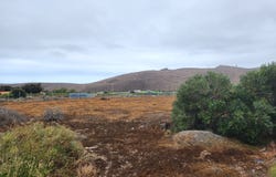 Ingenio, Canary Islands 35250