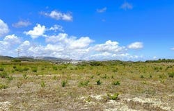 Denia, Alicante/alacant 03700